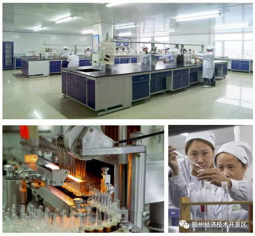 集中簽約，示范區(qū)明星企業(yè)精彩亮相——精心設(shè)計(jì)網(wǎng)站助力招商盛會(huì)